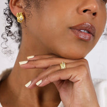 Load image into Gallery viewer, Indigo &amp; Wolfe - Jewellery Collection